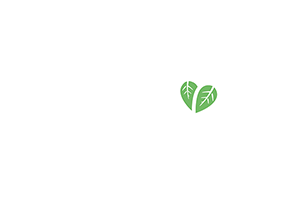 Dentaurier